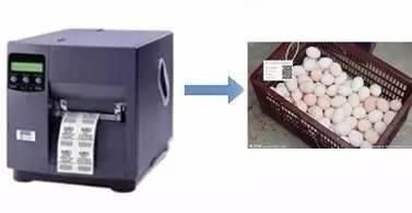 二維碼追溯食品安全，黃埔區試點推廣應用